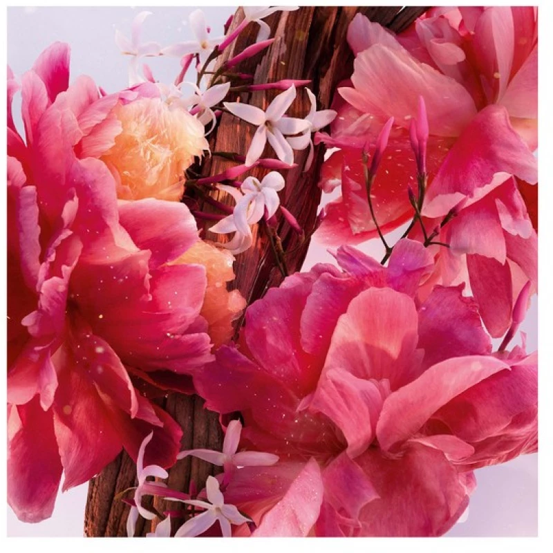 Dior Miss Dior Parfum Intense Floral, Fruity and Woody Notes 35ml