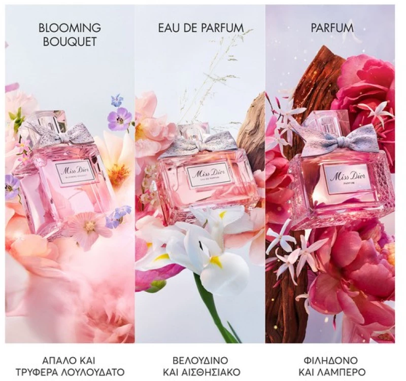 Dior Miss Dior Parfum Intense Floral, Fruity and Woody Notes 35ml
