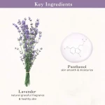 Skinfood Lavender Food Mask 120g