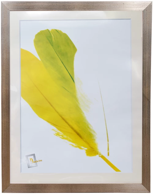 Κορνίζα ξύλινη για φωτογραφίες μεγέθους 60x80 σε Χρυσό-Ασημί  χρώμα Κ 250 | 10.8095