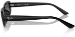 RAY BAN RB 4436D 6677/87
