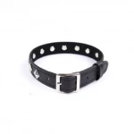 Naughty Toys Punk Collar