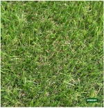 GRASHER Χλοοτάπητας Πλαστικός 23mm 2x20m