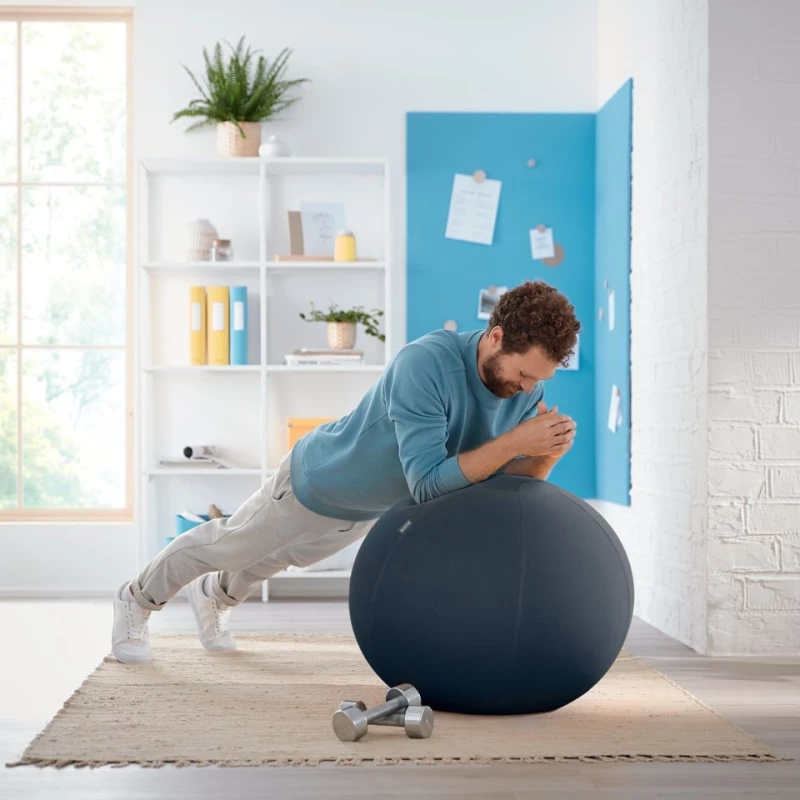 Leitz - Cozy Ergo balance ball - Grey / Home and Kitchen
