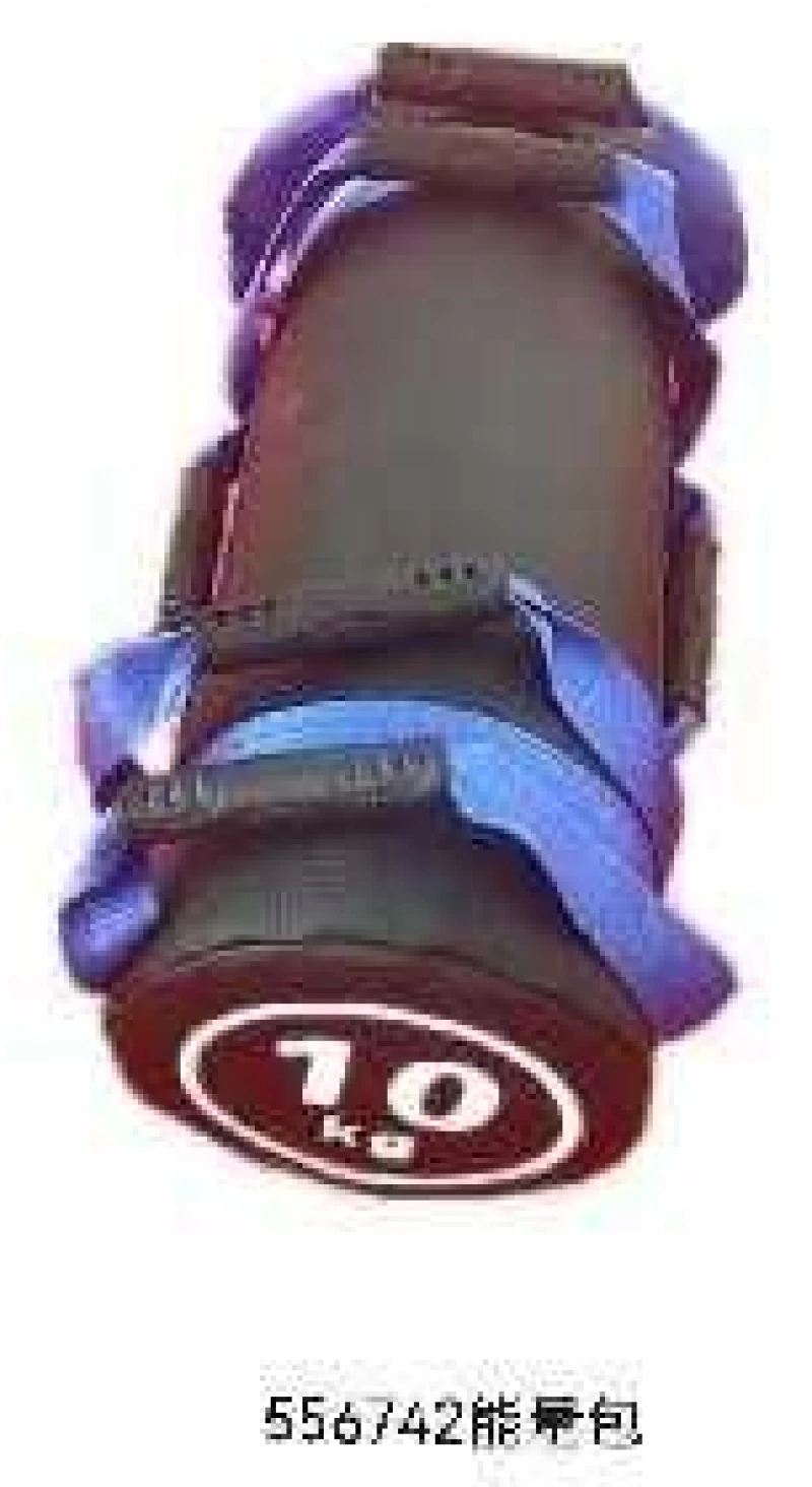 Σάκος Crossfit - Power Bag - 10kg - 556742
