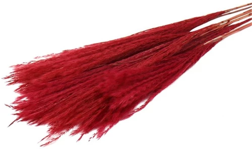 PAMPAS FLUFFY 10pc RED