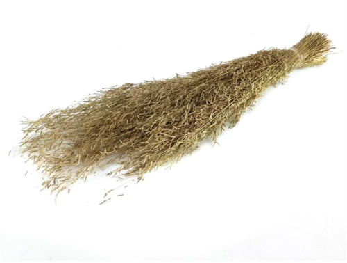 MUNNI GRASS 100GR NATURAL