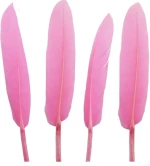 Φτερά χειροτεχνίας ροζ 50 τεμάχια