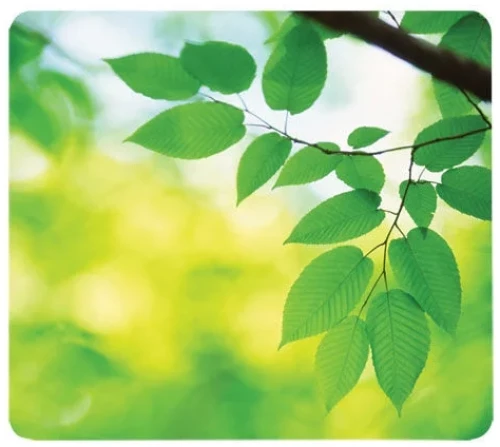 MOUSE PAD FELLOWES LEAVES 5903801