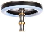 Led Ring Light 20cm