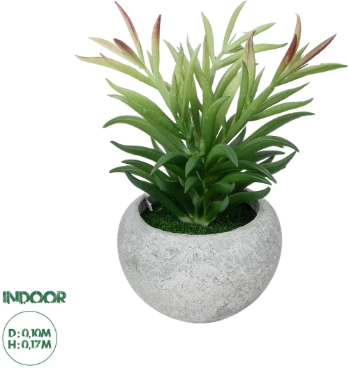 GloboStar® Artificial Garden SUCCULENT CRASSULA POTTED PLANT 21038 Διακοσμητικό Φυτό Κρασούλα  Φ10 x Υ17cm