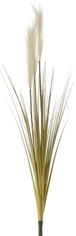 ΚΛΑΔΙ ΜΕ ΛΕΥΚΑ PAMPAS ΚΑΙ ΓΚΡΑΣ 98ΕΚ