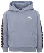 adidas Tiro 23 Competition Training Sweatshirt grey HP1909