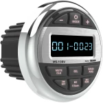 Bizzar Marine Radio Usb / Aux / BT