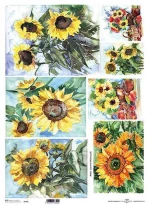 443416 ΡΙΖΟΧΑΡΤΟ "SUNFLOWER" 42X29.7ΕΚ. (ITD-R094L) ΠΑΚ