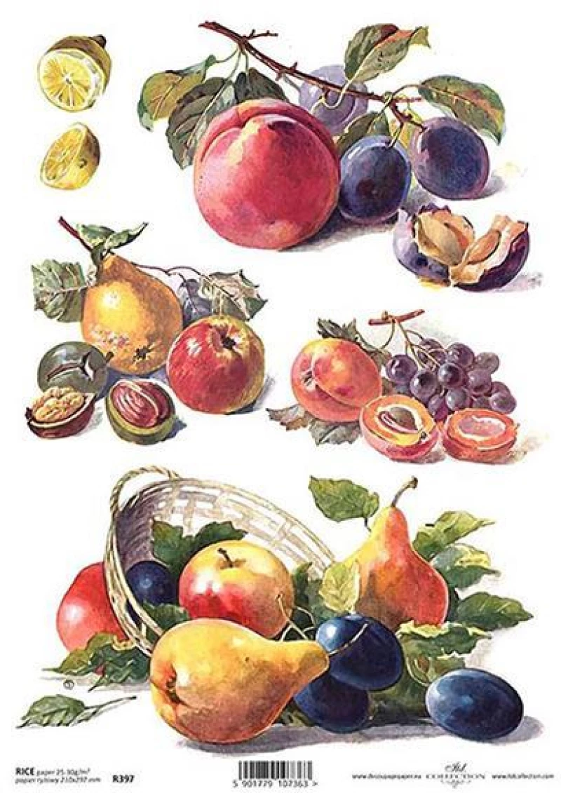 443424 ΡΙΖΟΧΑΡΤΟ "FRUITS" 21X29ΕΚ. (ITD-R397) ΠΑΚ