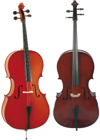 Eko EBC6012 Cello - 3/4