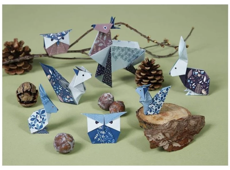 Σετ Κατασκευής Origami Clairefontaine Forest Animals Πολύχρωμο