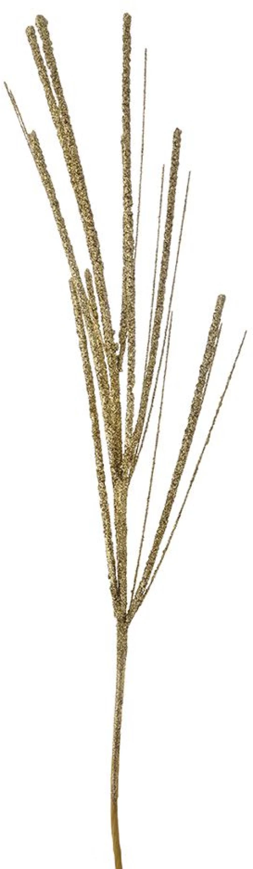 ΧΡΥΣΟ ΚΛΑΔΙ ΑΓΡΙΟ ΒΟΥΡΛΟ 74ΕΚ