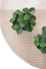Χαλί μηχανής 160x230 Organic 266 CREAM Royal Carpet