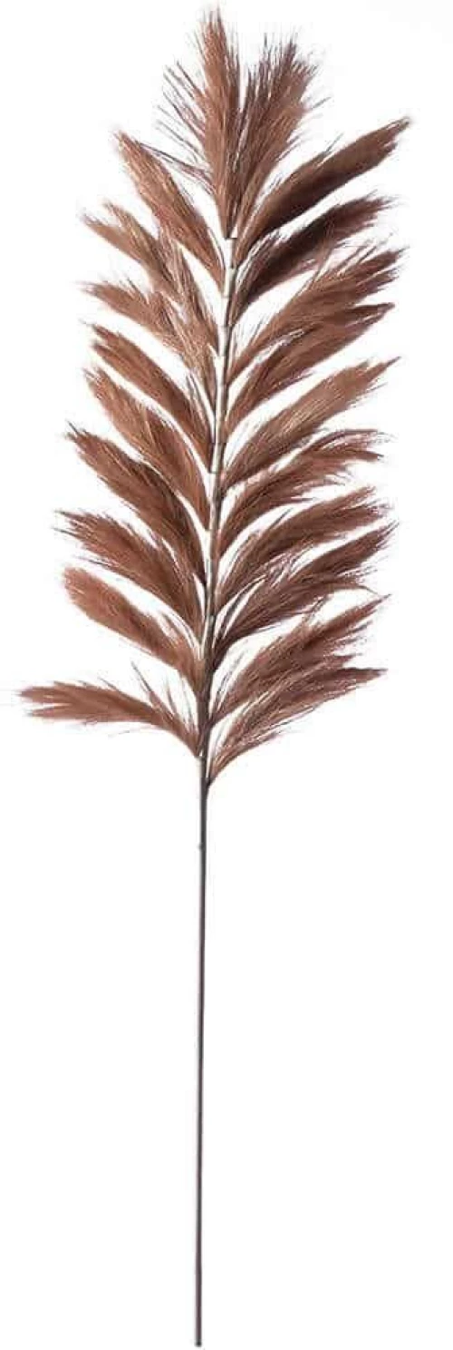Τεχνητό Κλαδί Pampas Pilosa 8081-7 120cm Brown Supergreens Ύφασμα,Πλαστικό