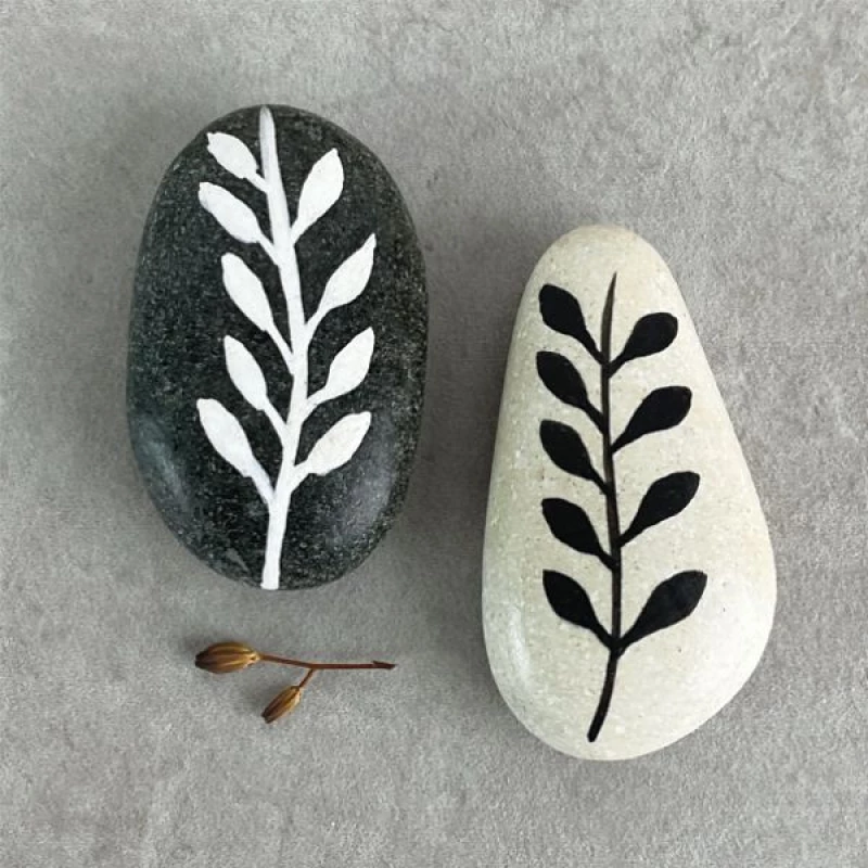 ΒΟΤΣΑΛΟ ΓΚΡΙ - STEM WITH LEAVES