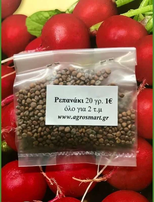 Ρεπανάκι Saxa 20gr