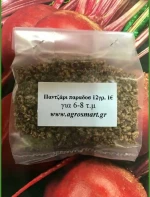 Παντζάρι παραδοσιακό ποικιλία ντετρόιτ 12gr