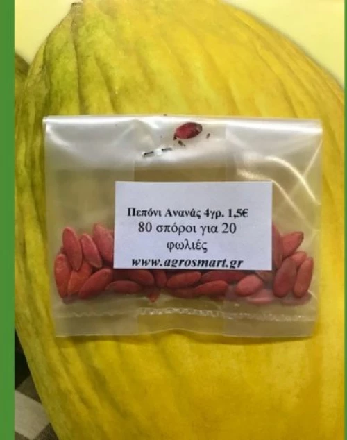 Πεπόνι Ανανάς 0,5kg