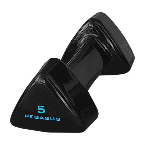Τρίγωνος Αλτήρας Vinyl 5kg Pegasus® PG-1005 393600505