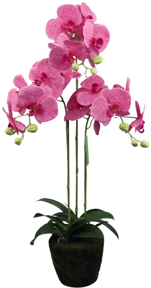 Supergreens Τεχνητό Φυτό Ορχιδέα Phalaenopsis Ροζ 80 εκ.