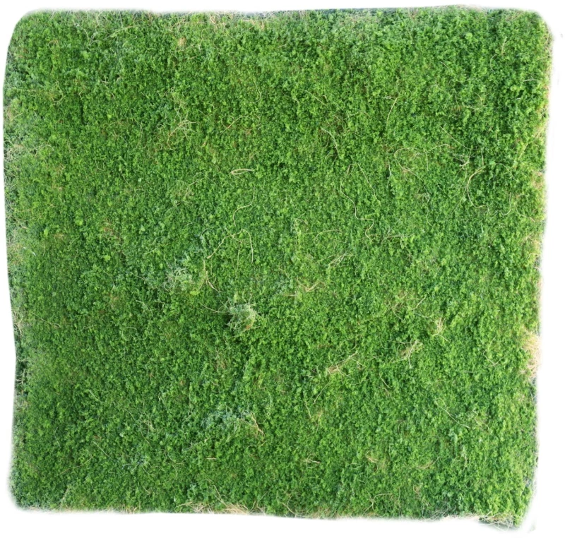 Supergreens Τεχνητή Φυλλωσιά Moss Πράσινη 100x100 εκ.