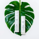 Ενυδατικό Σαμπουάν L'ANZA Healing Moisture 300 ml Ξηρά μαλλιά