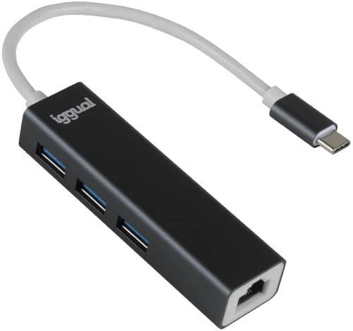 USB-C Hub iggual IGG319253 Μαύρο Γκρι