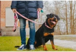Max And Molly Μπρελόκ Margarite