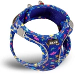 Glee Σαμαράκι Dino Blue 3XS