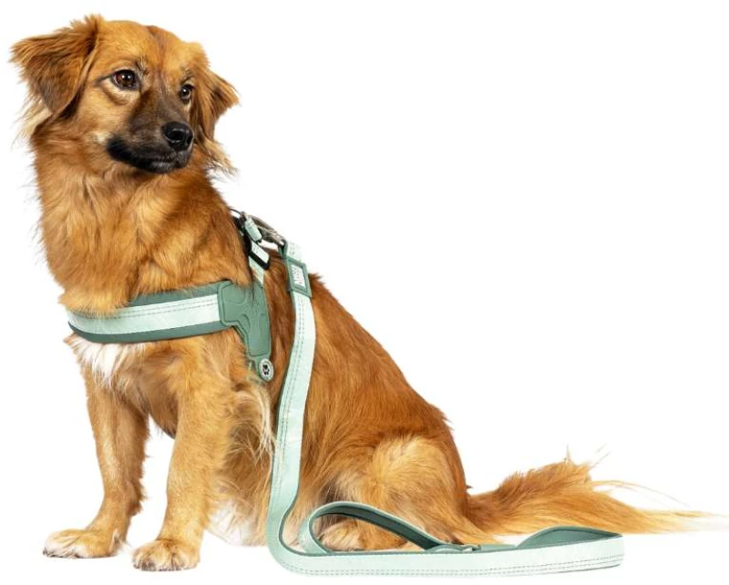 Max And Molly Σαμαράκι Q-FIT - Ocean Medium 45-52cm