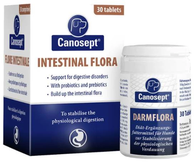 Canosept Gastrointestinal Tablets Pill Box with 30 Tablets