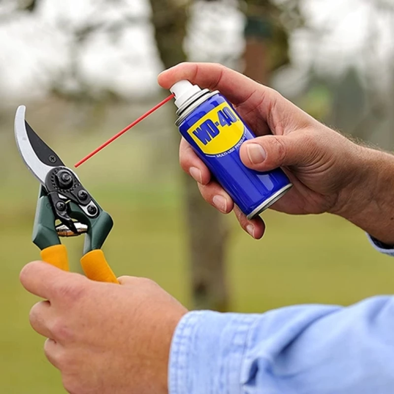Καθαριστικό WD-40 100ML