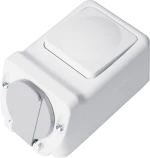 SOCKET+ONE BUTTON TWO WAY SWITCH 16А 250V, IP44
