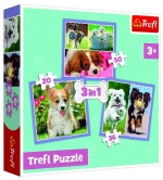 Puzzle Trefl 3/1(20//36/50pcs) Lovely Dogs