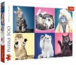 Puzzle Trefl  Kittens  500pcs