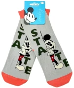 ΠΑΙΔΙΚΕΣ ΚΑΛΤΣΕΣ DISNEY MICKEY MC20501 ΓΚΡΙ (19-38)