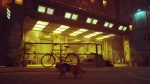 Stray / Nintendo Switch