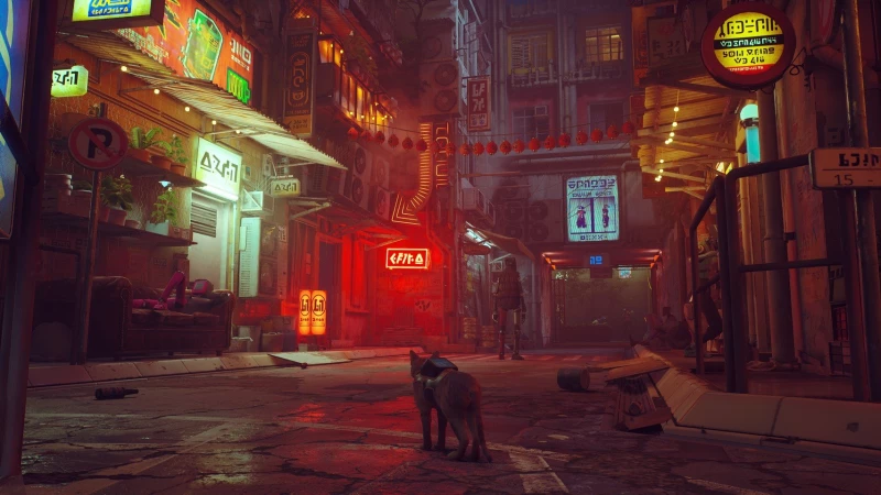 Stray / Nintendo Switch