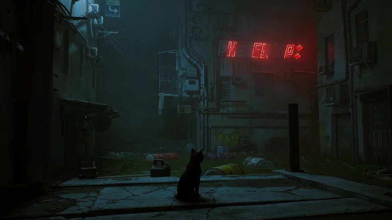 Stray / Nintendo Switch