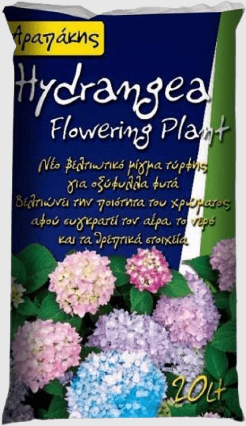 Arapakis Hydrangea Flowering Plant 20lt