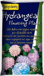 Arapakis Hydrangea Flowering Plant 20lt