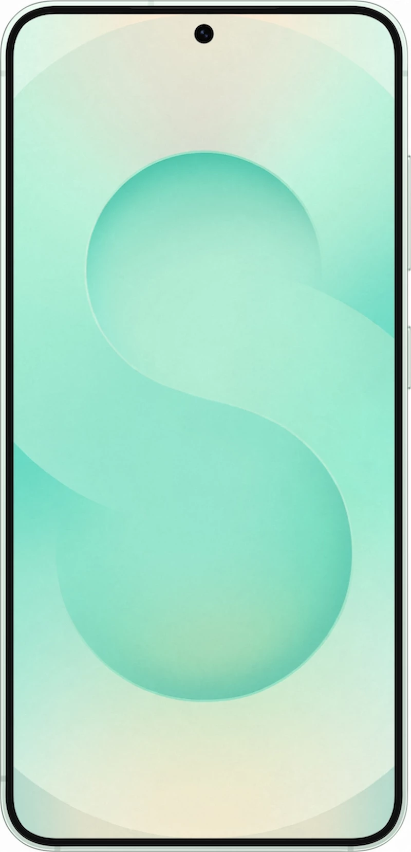 Samsung Galaxy S25 5G (12GB/512GB) Mint