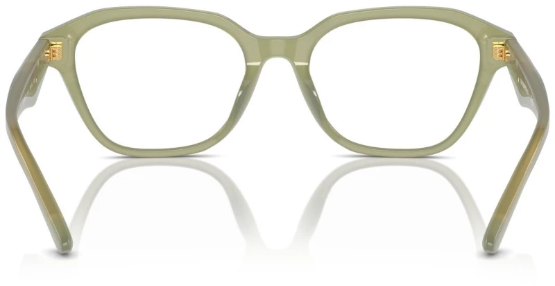 EMPORIO ARMANI EA 3235U 6116